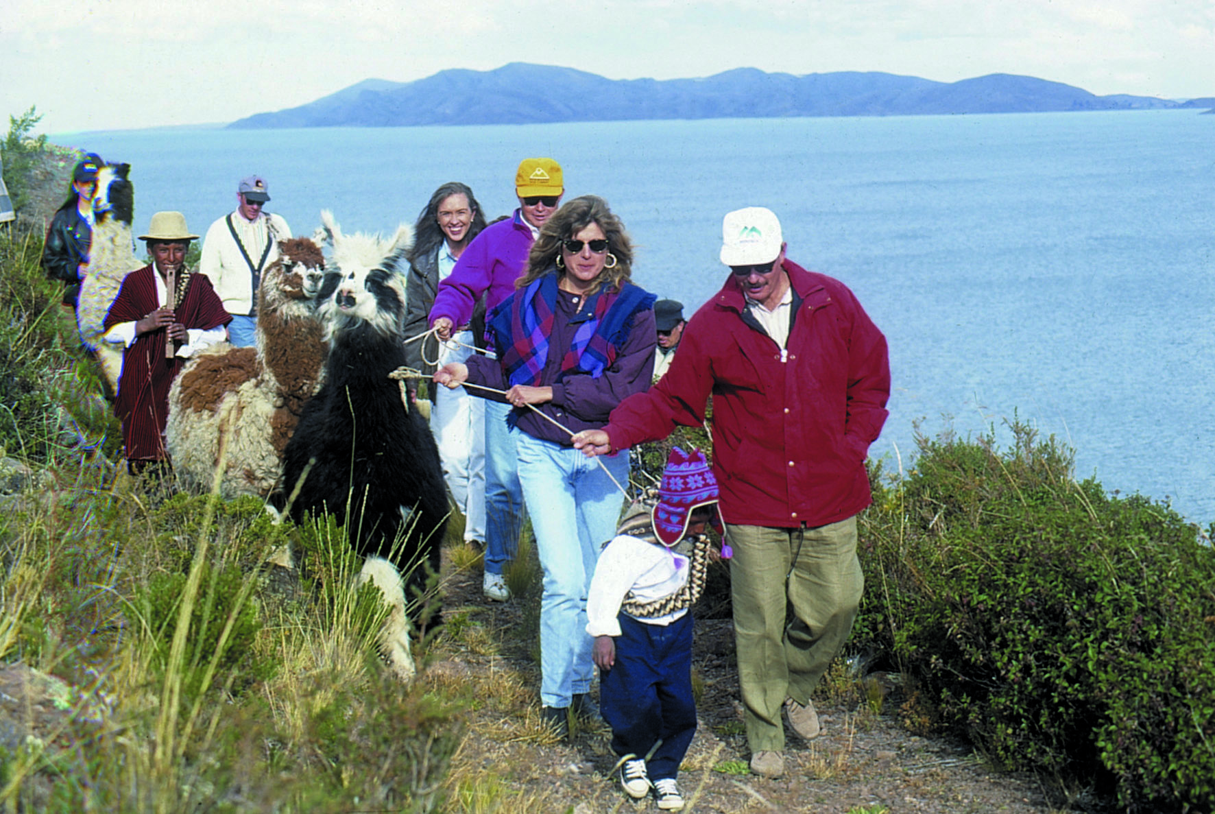 llama packing
